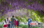 精品旅游。雨城融媒 供图 - Sc.Chinanews.Com.Cn