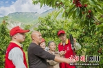 电力志愿者开展助农服务。四川电力供图 - Sc.Chinanews.Com.Cn