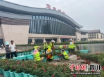 施工人员正在修整花卉绿植。吴悠 摄 - Sc.Chinanews.Com.Cn