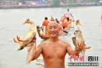 市民嘉陵江里抢鸭子。(资料图片)张晓东 摄 - Sc.Chinanews.Com.Cn