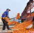 佳美食品生产厂房内内工人正在卸载柑橘。汪泽民 摄 - Sc.Chinanews.Com.Cn