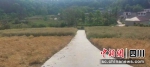新建好的道路。 中江县委宣传部供图 - Sc.Chinanews.Com.Cn