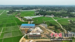 正在加快建设的安州区水稻制种科创服务中心。 杜康 摄 - Sc.Chinanews.Com.Cn