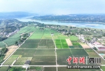 农业种业园紧邻长江。廖廷帝摄 - Sc.Chinanews.Com.Cn
